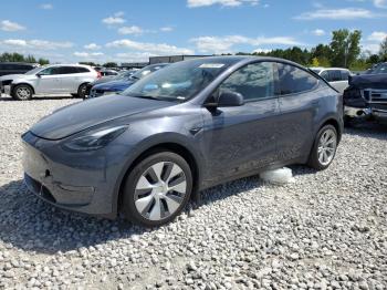  Salvage Tesla Model Y