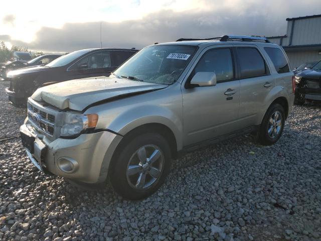  Salvage Ford Escape