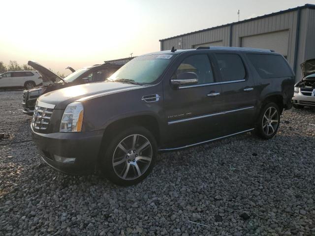  Salvage Cadillac Escalade