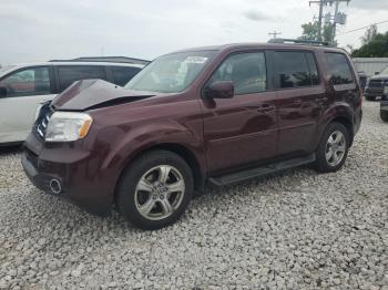  Salvage Honda Pilot