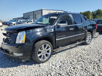  Salvage Cadillac Escalade