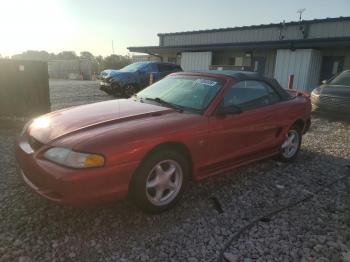  Salvage Ford Mustang