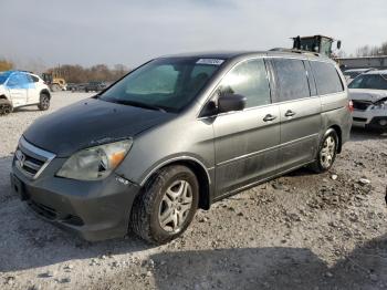  Salvage Honda Odyssey