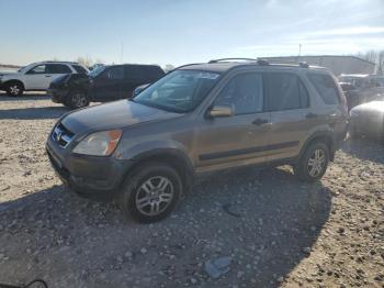  Salvage Honda Crv