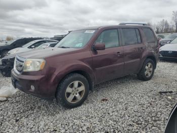  Salvage Honda Pilot