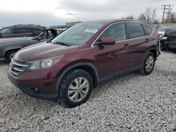  Salvage Honda Crv