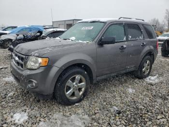  Salvage Ford Escape