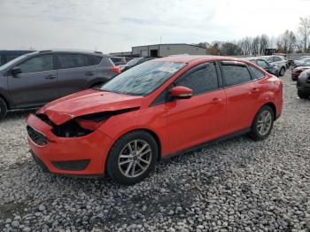  Salvage Ford Focus