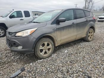  Salvage Ford Escape