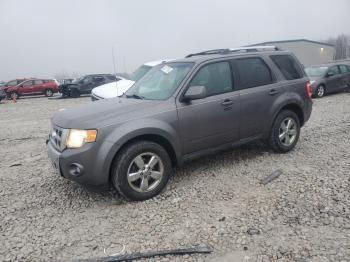  Salvage Ford Escape