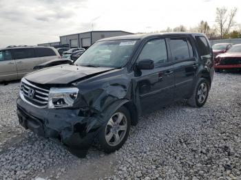  Salvage Honda Pilot