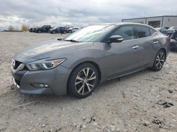  Salvage Nissan Maxima