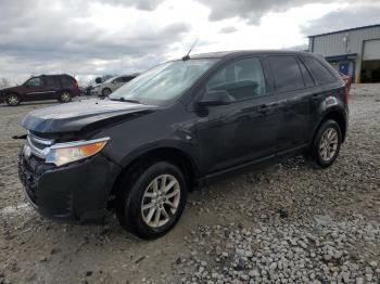  Salvage Ford Edge