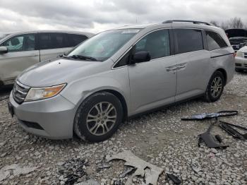  Salvage Honda Odyssey