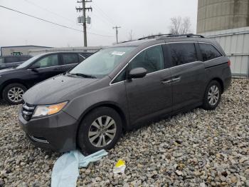  Salvage Honda Odyssey