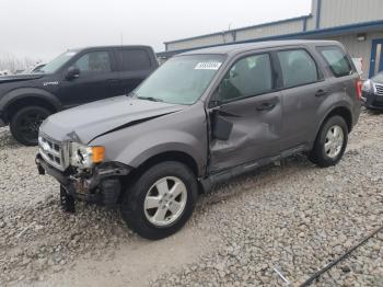  Salvage Ford Escape