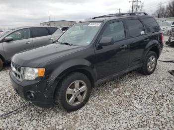  Salvage Ford Escape