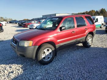  Salvage Ford Escape