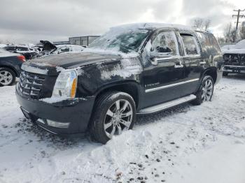  Salvage Cadillac Escalade