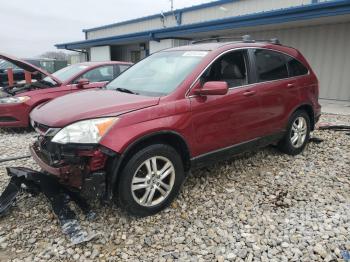  Salvage Honda Crv