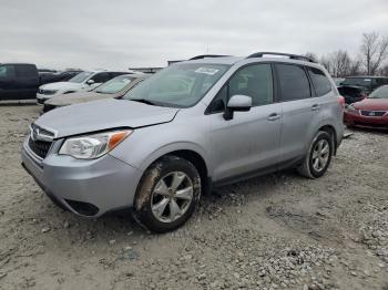  Salvage Subaru Forester