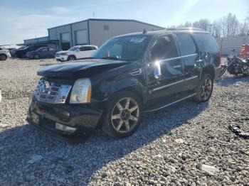  Salvage Cadillac Escalade