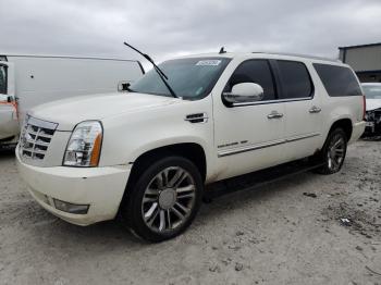  Salvage Cadillac Escalade