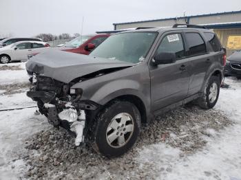  Salvage Ford Escape