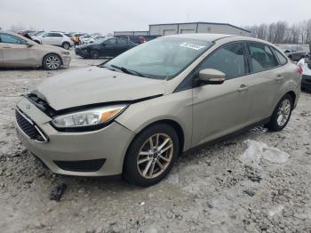  Salvage Ford Focus