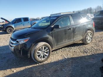  Salvage Ford Edge