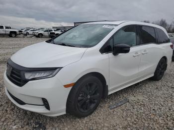  Salvage Honda Odyssey