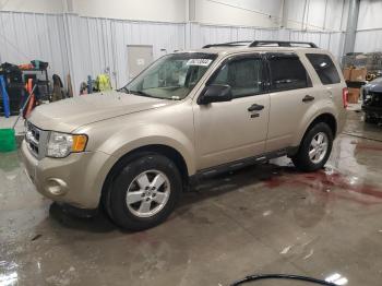  Salvage Ford Escape