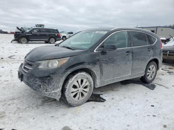  Salvage Honda Crv