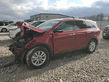  Salvage Kia Sorento