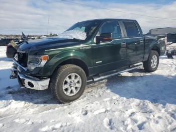  Salvage Ford F-150