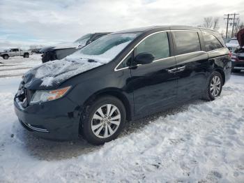  Salvage Honda Odyssey