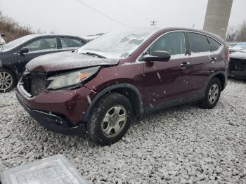  Salvage Honda Crv