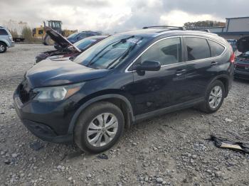  Salvage Honda Crv