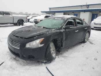  Salvage Nissan Maxima