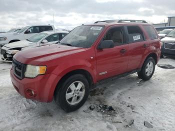  Salvage Ford Escape