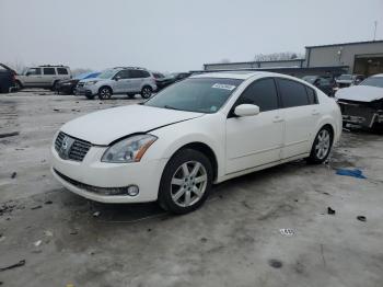  Salvage Nissan Maxima