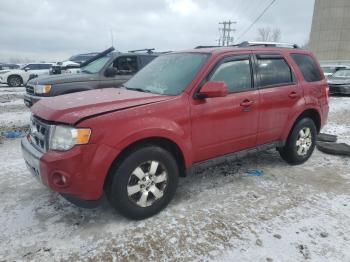  Salvage Ford Escape