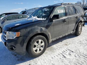  Salvage Ford Escape