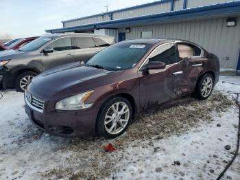  Salvage Nissan Maxima