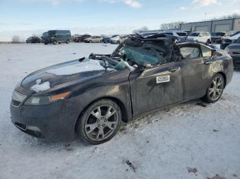  Salvage Acura TL