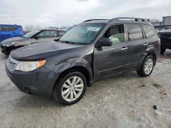  Salvage Subaru Forester