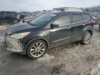  Salvage Ford Escape