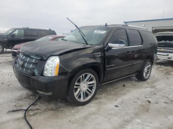  Salvage Cadillac Escalade