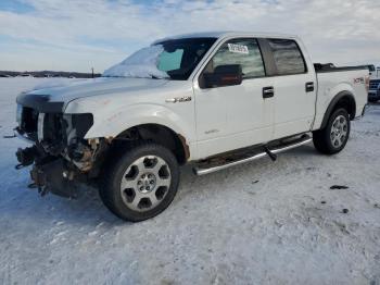  Salvage Ford F-150