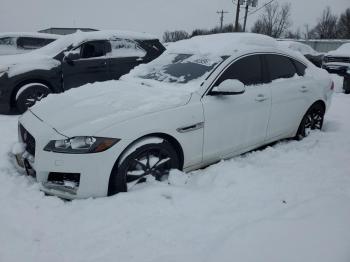  Salvage Jaguar XF